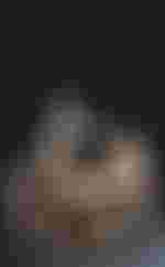 L'Après-midi d'un faune, Sasha Waltz, Claude Debussy, Ensemble