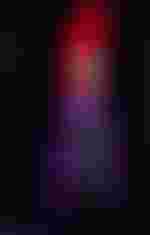 Camilla Nylund (Feldmarschallin Fürstin Werdenberg)