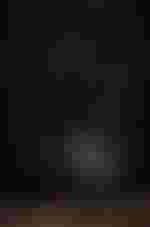 Andrew Staples (Idomeneo)