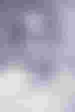 Portrait von Svenja Rickert