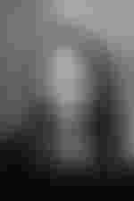 Portrait von Franziska Eitle