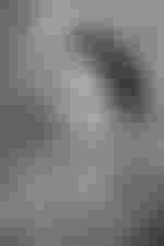 Portrait von Christiane Westenhöfer