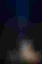 Christiane Karg (Rusalka)