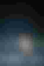 Vera-Lotte Boecker (Daphne), Pavel Černoch (Apollo)