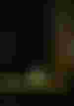 Gyula Orendt (Graf Almaviva)