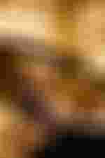 Gastspiel in Wien | 18. und 19. April 2026 Christian Thielemann, Julia Kleiter, Konstantin Krimmel, Staatskapelle Berlin