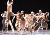 Sacre, Sasha Waltz, Igor Strawinsky, Ensemble