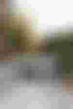 Social Run der Staatsoper I Oktober 2025