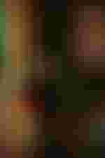 Riccardo Fassi (Figaro)