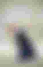 Alfredo Daza als FIGARO und Jennifer Rivera als ROSINA