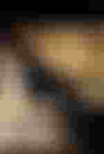 Ana Maria Labin (Aspasia), Paul-Antoine Bénos-Djian (Farnace), Adriana Bignagni Lesca (Arbate)