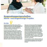 Bild zur Publikation Factsheet zu Kooperationspartnerschaften in Erasmus+ Jugend