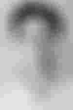 Lars Tappert