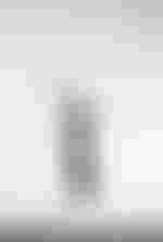 Marina Prudenskaya (Der Komponist)