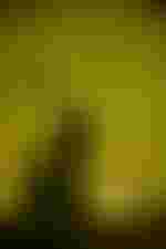 Anna Netrebko (Leonora)