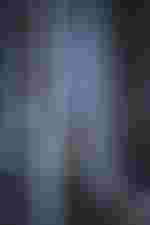 Katarina Bradić (Cassandra)